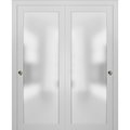Sartodoors Closet Bypass Interior Door, 64" x 80", White PLANUM2102DBD-WS-64